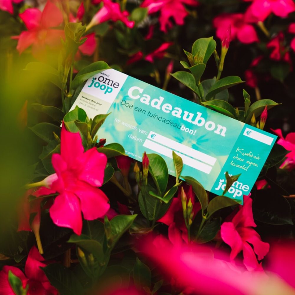 Cadeaubon-2_optimized